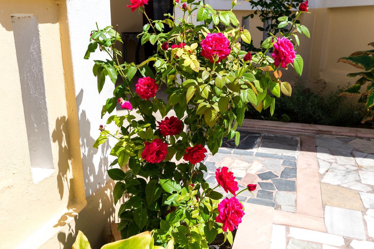 Erato Hotel Apartments Rethymno  Exterior photo